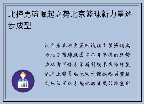 北控男篮崛起之势北京篮球新力量逐步成型