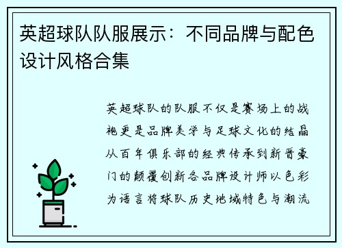 英超球队队服展示：不同品牌与配色设计风格合集